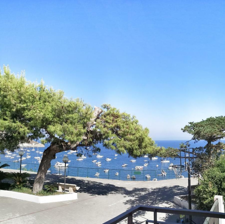 Calise Guest House Procida Exterior photo